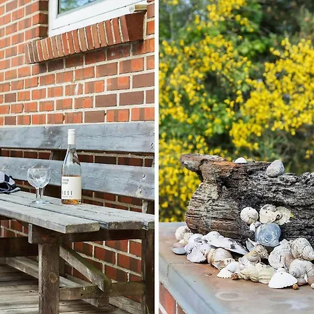 Tv1600-jerup-multebaervej-33 * Jerup