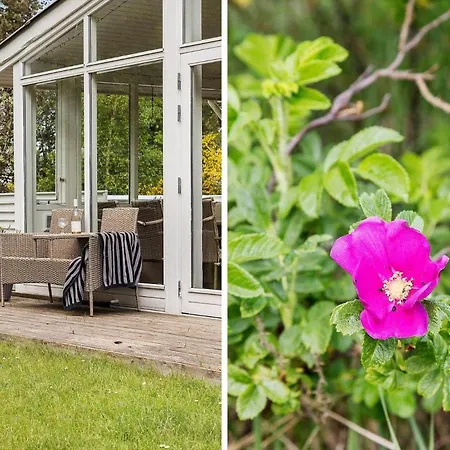 Tv1600-jerup-multebaervej-33